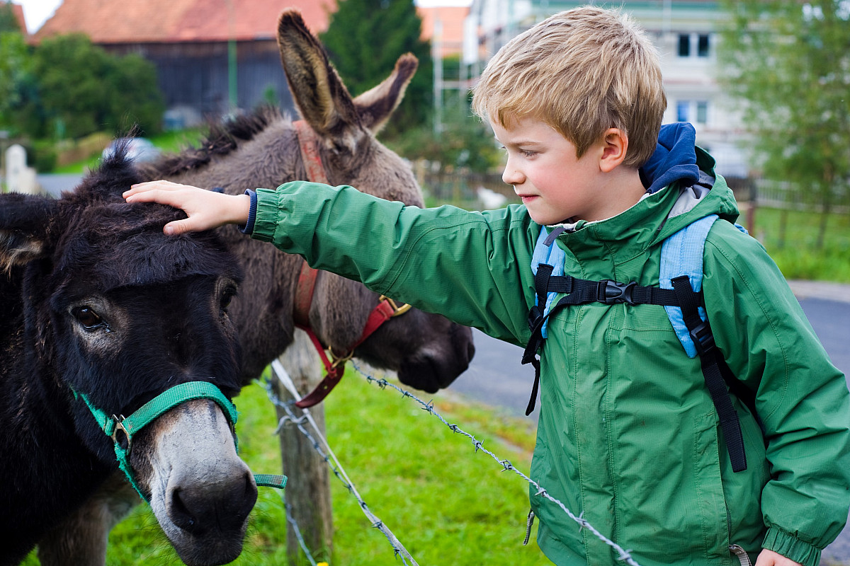 shutterstock_61466455