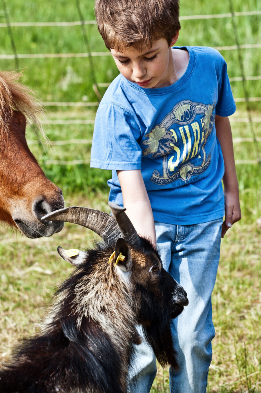 10052011_0031-junge-mit-ziege