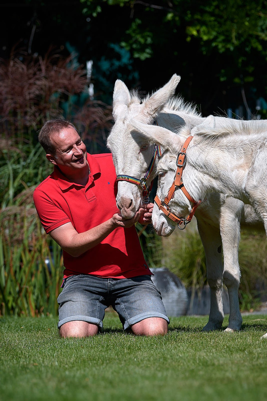 dsc_8632breita173660