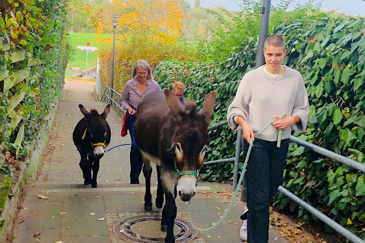 spaziergang-mit-esel